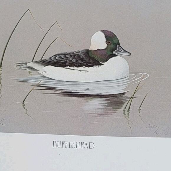 John P Lee 1983 Bufflehead Duck Unframed print #341/650 Pencil Signed - Picture 1 of 7